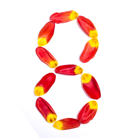 digit eight of red-yellow petals of tulip on white backgroundの写真素材