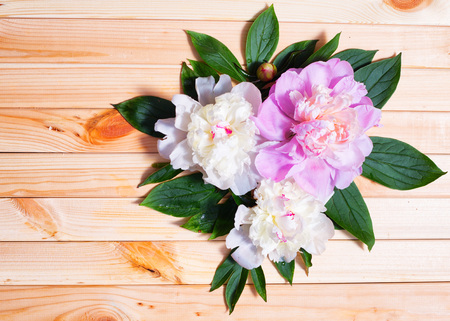 Peony flowers on a wooden backgroundの写真素材