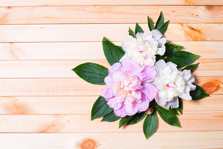 Colorful Peony flowers on a light wooden backgroundの写真素材