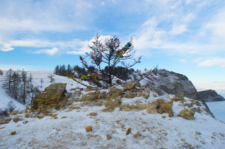 tree in colored ribbons. Lake Baikal shore in winterの写真素材