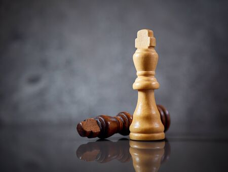 Victory and defeat concept, white king defeating his opponent.の写真素材