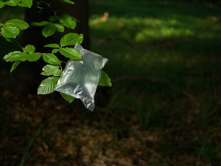 Plastic bag hanging on tree branch. Ecology, recycling and plastic pollution concept.の写真素材