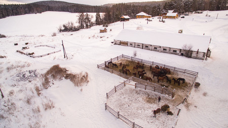 Stable in a small village in the winter. Ural Mountains, Bashkortostan, Russia.の写真素材