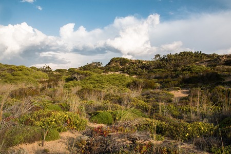 Beautiful landscapes of Fishermens Trail, Trails Alentejo, Rota Vicentina hiking trail Portugalの写真素材