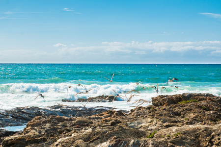 Seagulls over the waves of the Ocean on a sunny dayの写真素材