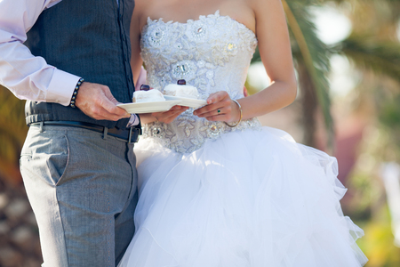 Newlyweds hold saucers with a wedding cakeの写真素材