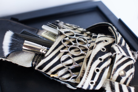 Hairdressing tool kit: scissors, combsの写真素材