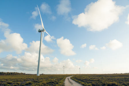 Wind generators in the field on a background beautiful clouds at dayの写真素材
