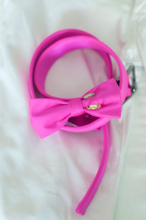 Wedding rings and pink bow tie close-upの写真素材