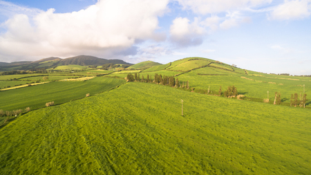 Aerial view of farm fields in the Sao Miguel Island in Azores, Portugal wide angleの写真素材