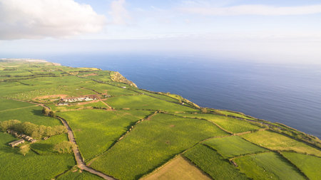 Green fields of Azores with atlantic ocean on background