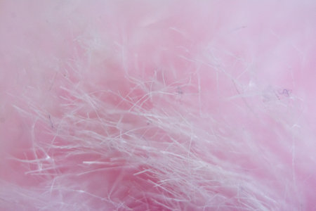 Close-up of a pink cotton wool texture. Abstract background.の写真素材