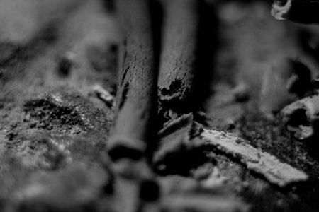 Cinnamon sticks on a black background. Macro. Selective focus.の写真素材
