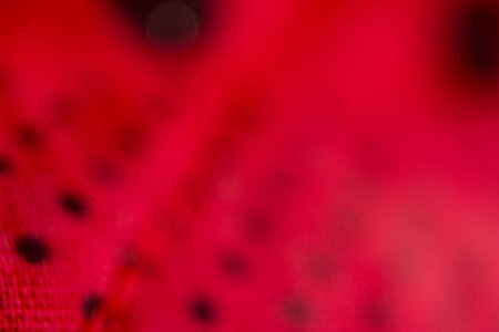 Abstract background of red flower petals with shallow depth of field.の写真素材