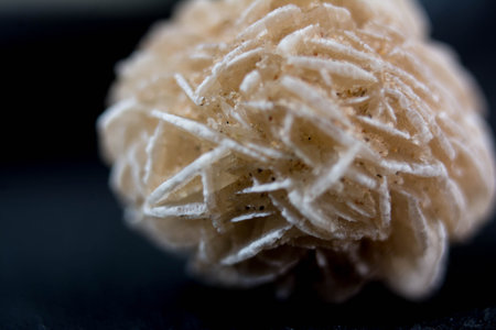 Close up of a white object on a black background. Macro.の写真素材