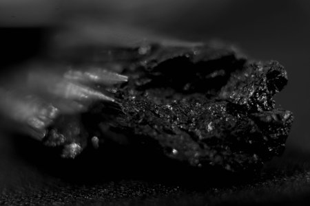 Black and white photo of a piece of coal on a black backgroundの写真素材