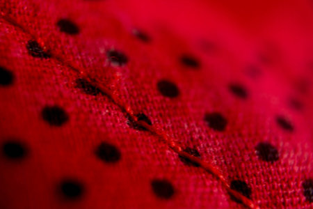 Macro shot of a red fabric with small black dots on itの写真素材