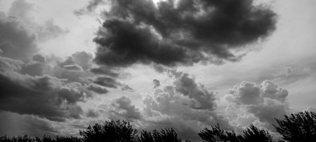 black and white cloud and sky background in black and white tone.の写真素材