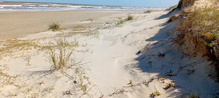 Panoramic view of sand dunesの写真素材