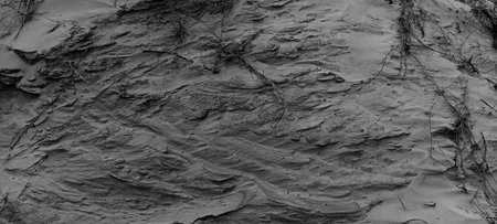 Black and white rock texture background. Abstract background and texture for design.の写真素材