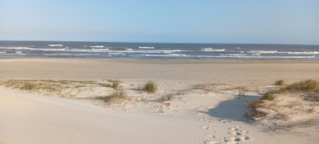 Panoramic view of sand dunes on the seaの写真素材