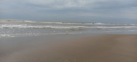 Waves on the beach of the seaの写真素材