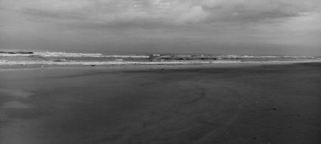 Black and white panoramic view of the beach and the seaの写真素材