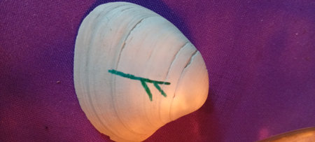 A picture of a painted rune on a white pebble.の写真素材