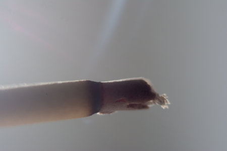 Cigarette with smoke on a white background. Close-up.の写真素材