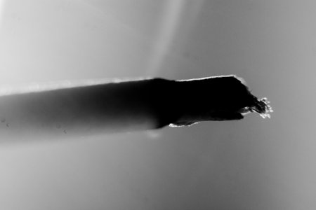 Black and white picture of a burning cigarette on a white background.の写真素材