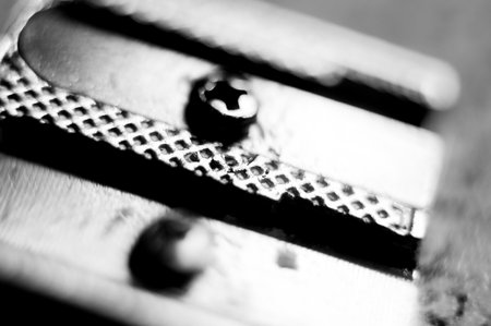 Macro shot. Black and white photo. Selective focus.の写真素材