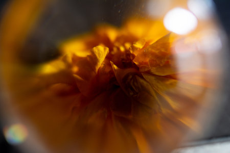 Macro shot of a marigold flower in a glass vase