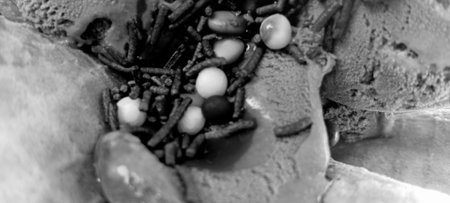 Chocolate ice cream in black and white. Selective focus.