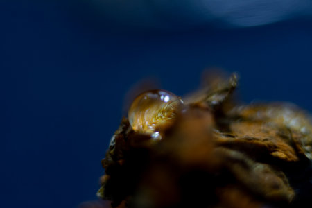 Close-up of a drop of waterの写真素材