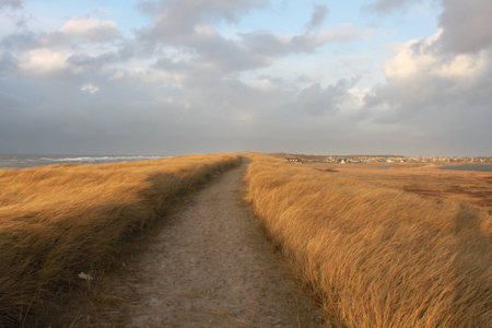 the wayの写真素材