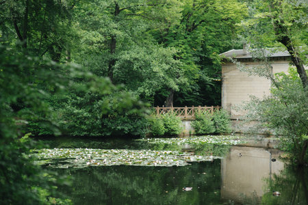 Lake in deep forest. Travel story. A round the world. Sunday vacation. Strong Earth.