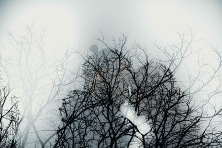 Art photo from camera. Double exposure of couple in love and tree of forest. Valentine art concept.