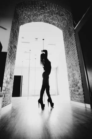 Woman ballet dancer in black body posing in ballet studio. The artistic dance conceptの写真素材