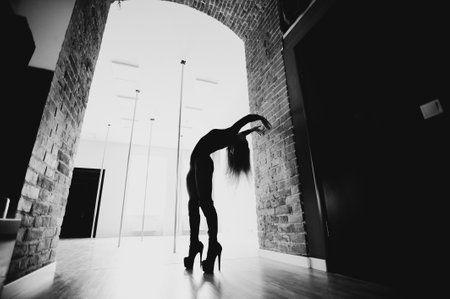 Woman ballet dancer in black body posing in ballet studio. The artistic dance conceptのeditorial素材