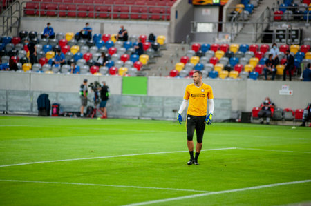 DUSSELDORF, GERMANY - 17 AUGUST 2020: Football players of Inter Milan durring the football match of UEFA Europa League Shakhtar vs Inter on Esprit Arena sports complex in Dusseldorf.のeditorial素材