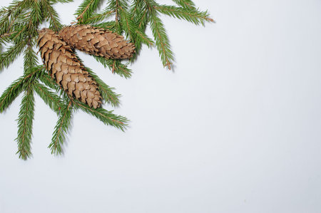 Christmas composition. Fir branch on white background. Flat lay, copy space. New Year and Christmas...