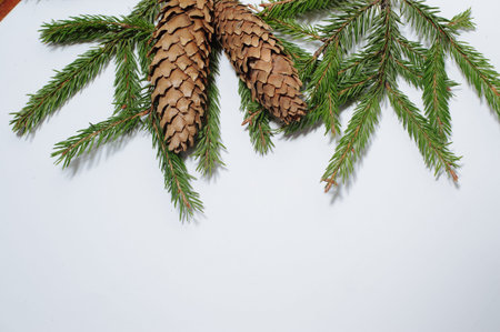 Christmas composition. Fir branch on white background. Flat lay, copy space. New Year and Christmas...