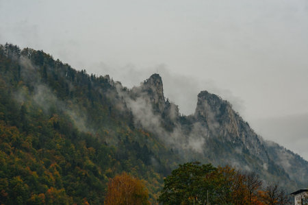 Autumn forest trees in Alpine. Majestic foggy sunrise over the mountain forest in autumn. Beautiful...