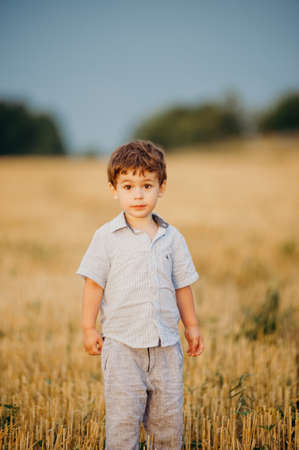 Emotional little adorable boy playing in the field in the warm rays of the setting sun in the summer. Childhood concept.の写真素材