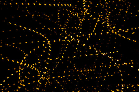 Background of golden light trails. Lights tracks. Copy space.