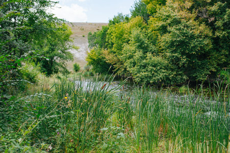 Donbass. Luhansk region. Aidar river