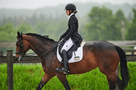 Kharkiv, Ukraine - June 5, 2021: The Equestrian FEI Dressage World Cup Kharkiv 2021のeditorial素材