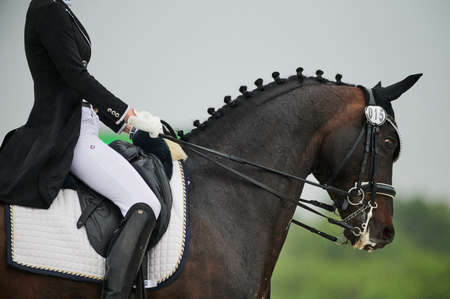 Kharkiv, Ukraine - June 5, 2021: The Equestrian FEI Dressage World Cup Kharkiv 2021のeditorial素材