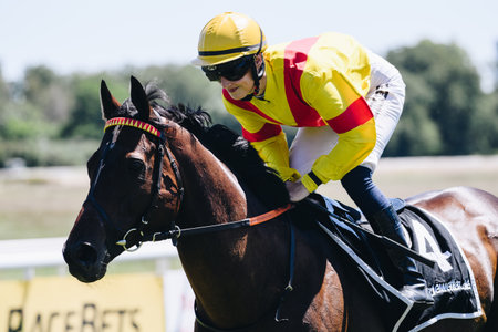 COLOGNE, GERMANY - JUNE 16, 2022: : Horseracing Feiertags-Renntag â JubilÃ¤umspreis during sunny weather.のeditorial素材
