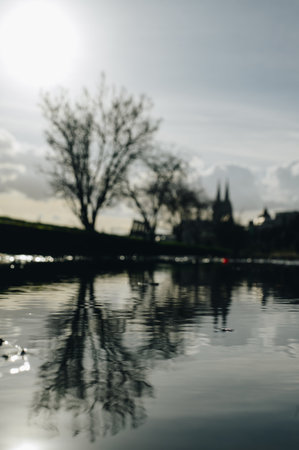 COLOGNE, GERMANY - JANUARY 17, 2023: High water after heavy rainfall and snow melting in Rheinland.のeditorial素材